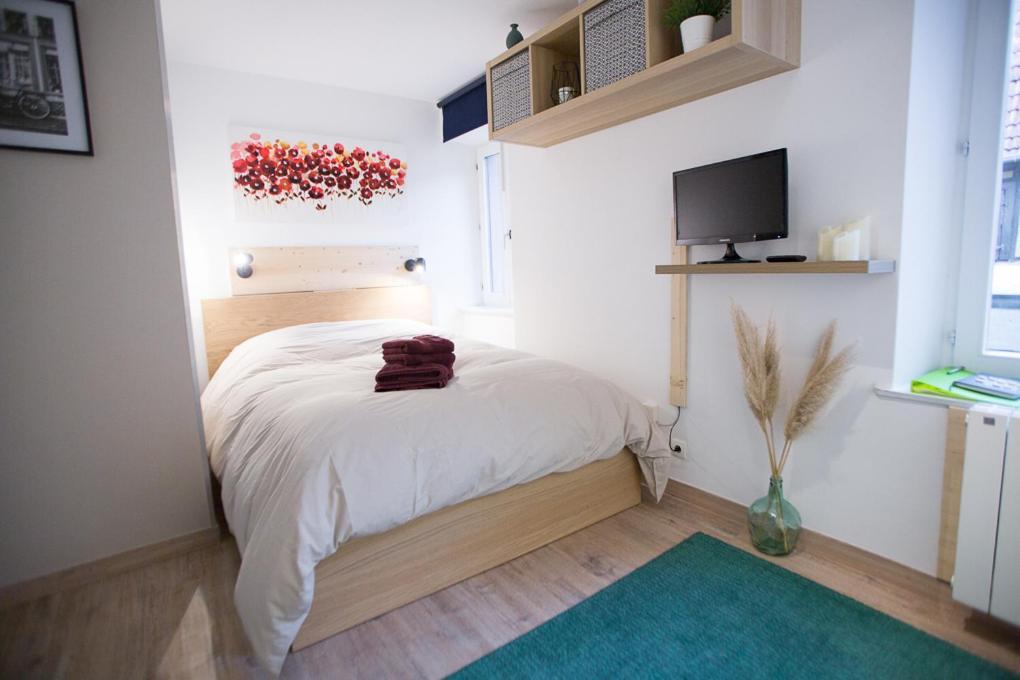 Studio Zone Pietonne A Saverne Exterior photo
